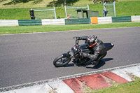 Middle Group Black Bikes